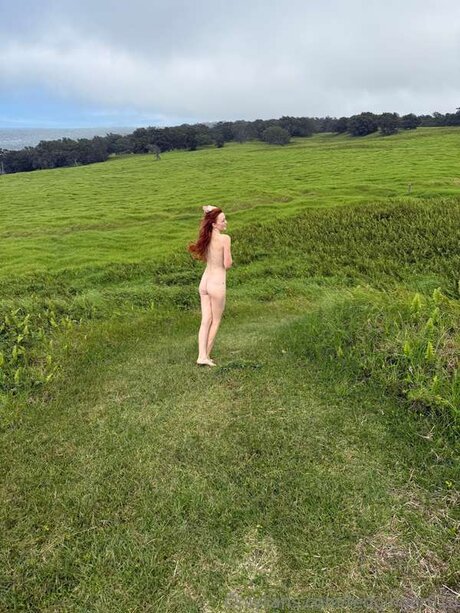 Redginger018 étoile sympa img