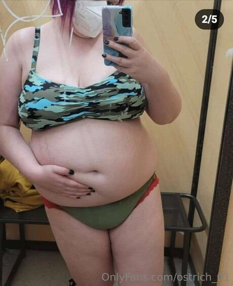 Ostrich 01 modèle meilleur archive