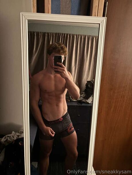 Sneakkysam art star du porno photos