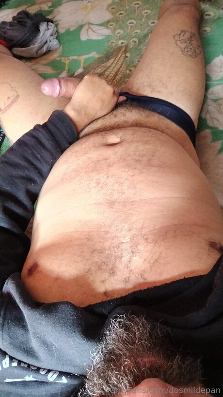 Dosmildepan étoile de haute qualité image