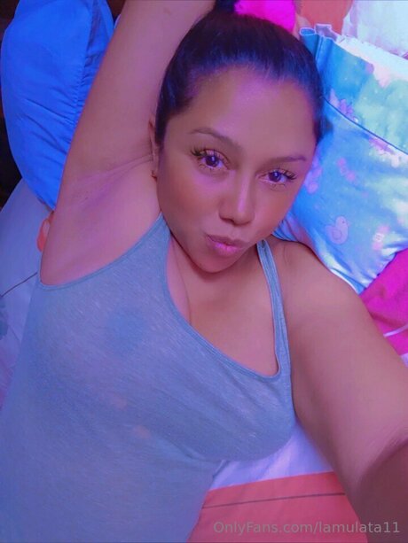 Lamulata11 modèle gratuit galeries