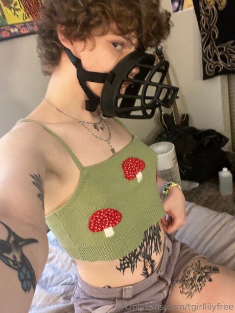 Tgirllilyfree étoile parfaite image