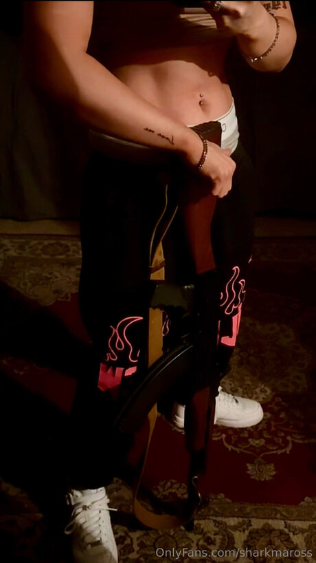 Sharkmaross haut de star du porno photos