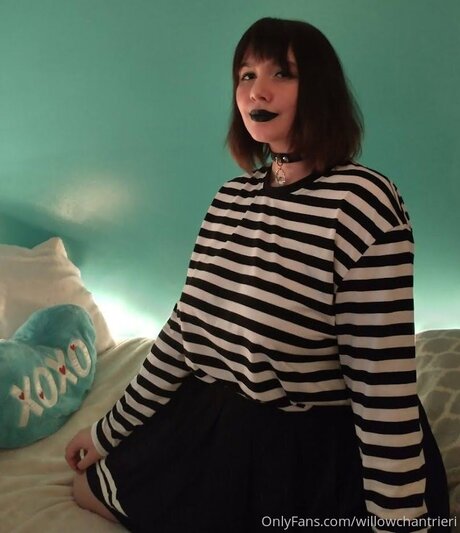 Willowchantrieri art star du porno des photos