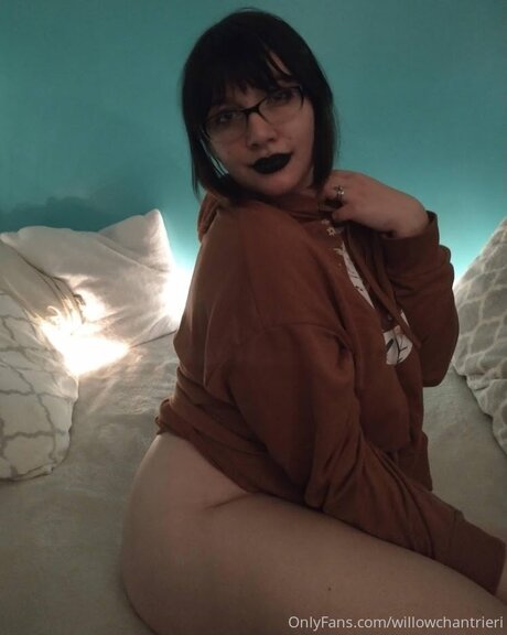 Willowchantrieri beau modèle archive