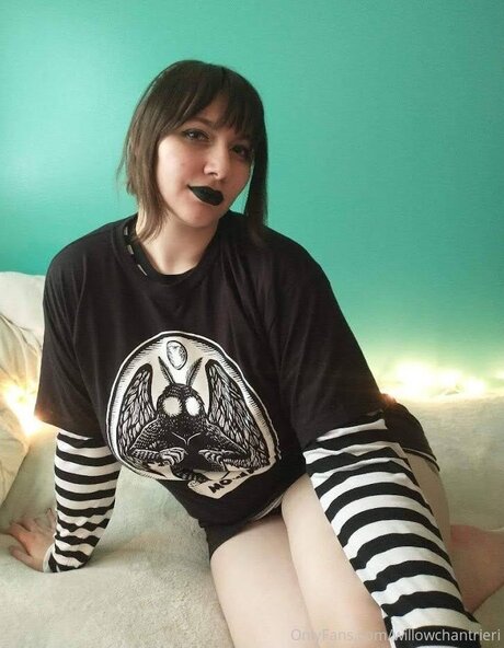 Willowchantrieri star pornographique collection