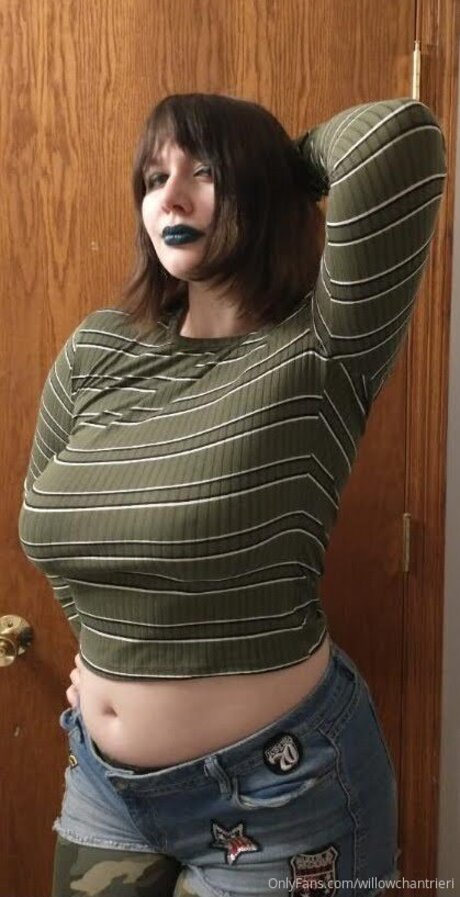 Willowchantrieri star exclusive collection