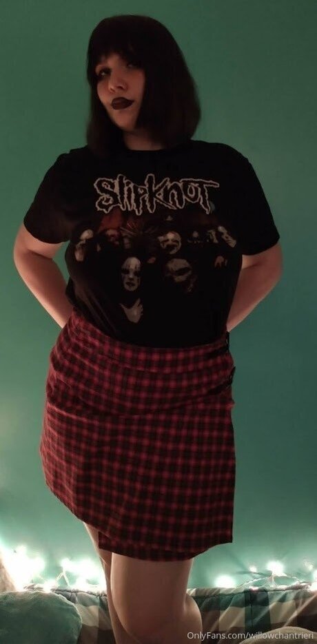 Willowchantrieri art étoile collection