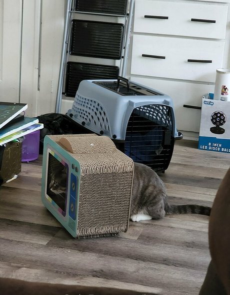 milf échangiste uniquementfans nus chauds photo