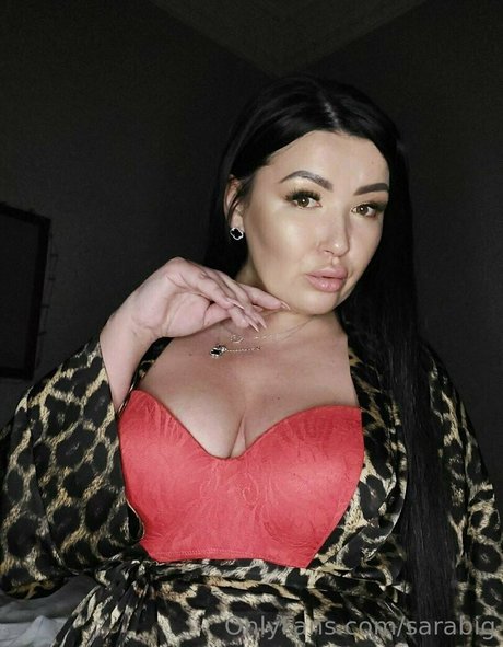 sarabig étoile de l'art collection