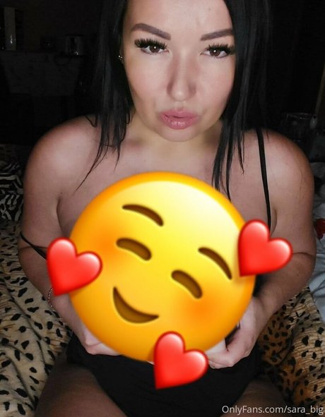 sarabig modèle artistique galeries