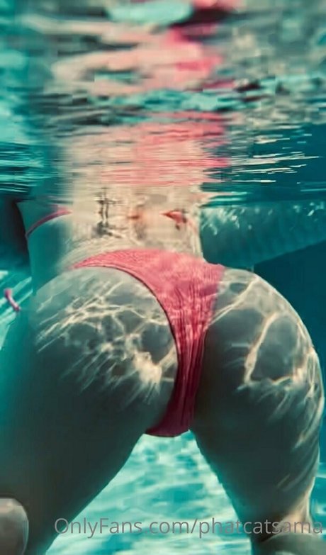 phatcatsama modèle joli galeries