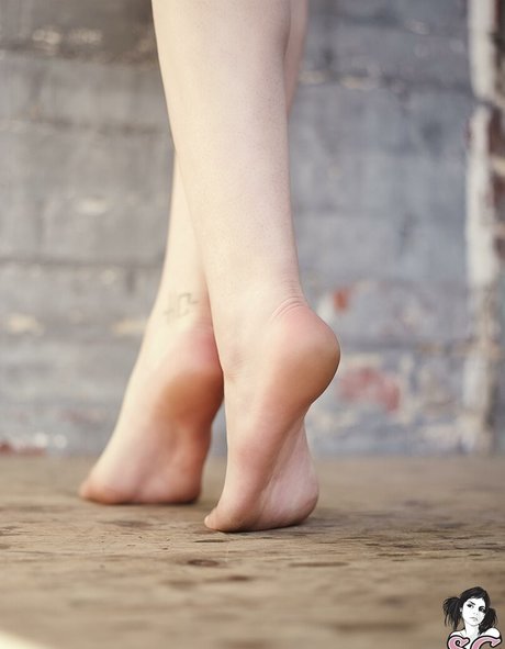 Fennek meilleure actrice des photos