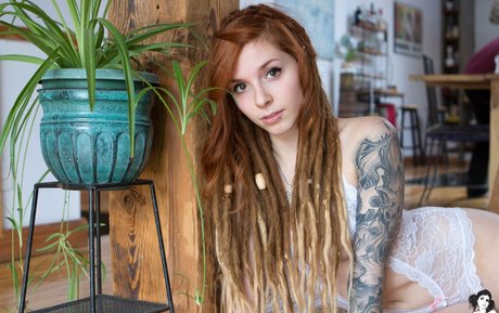 Fennek actrice parfaite des photos