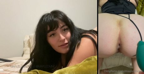 Maple Divine sexe star du porno collection