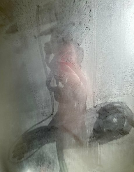 realjonnyenglsh haut étoile galeries