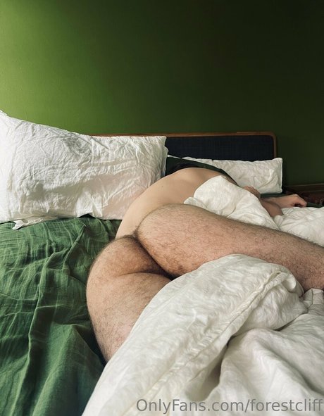 forestcliff modèle de haute qualité galerie