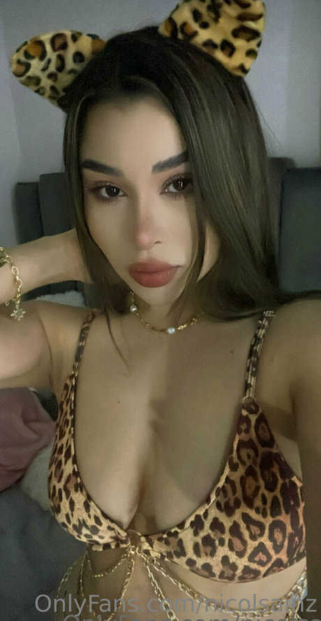 nicolgastelum étoile sympa galerie