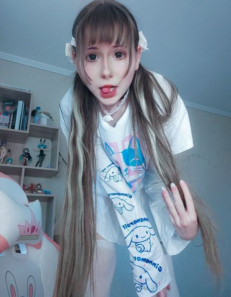 asainoshi étoile parfaite collection