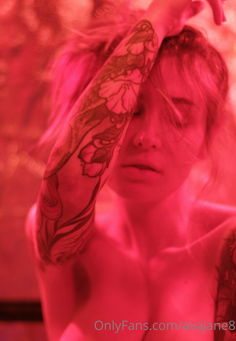 avajane8 Fotoaufnahmen