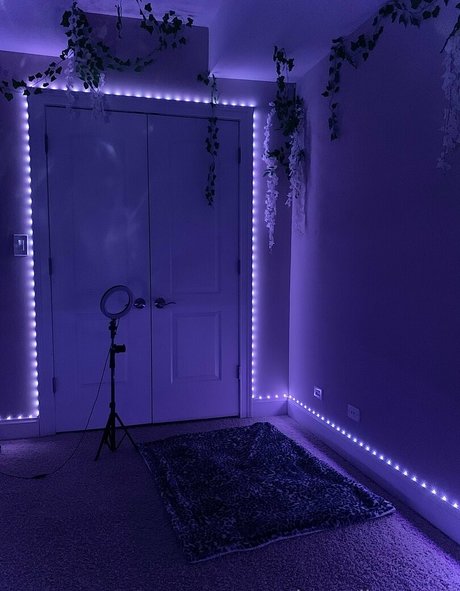 carebearelle art de star du porno archive