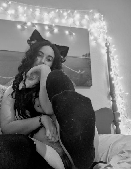 lirdoll star du porno sympa des photos