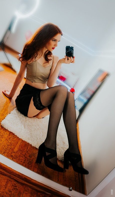 foxperry étoile de l'art image