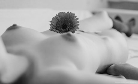 jinadaisy modèle gratuit photos