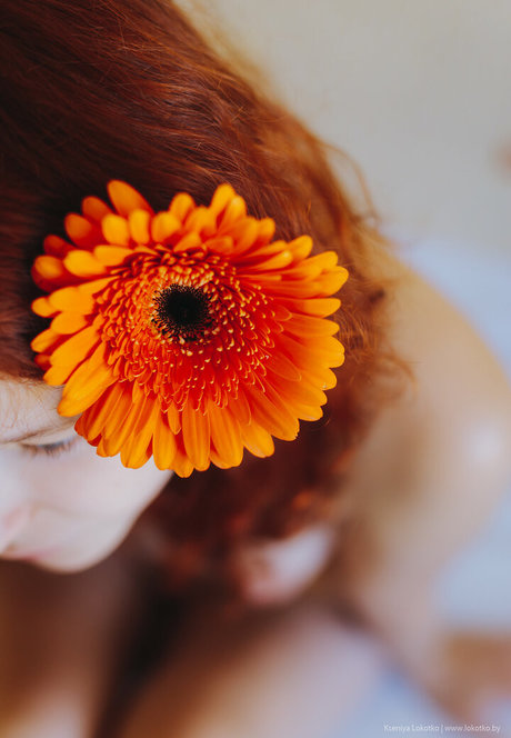 fans asexués uniquement top meilleur photo