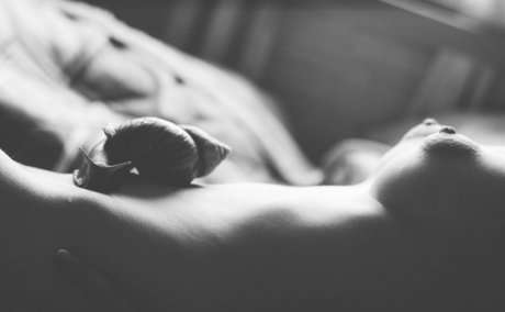 jinadaisy actrice xxx archive