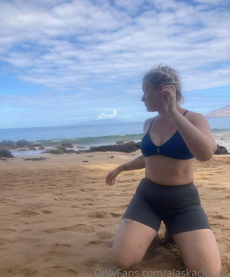 alaskaclouds modèle de haute qualité galeries