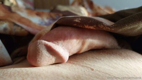 Janhusnik étoile sympa collection