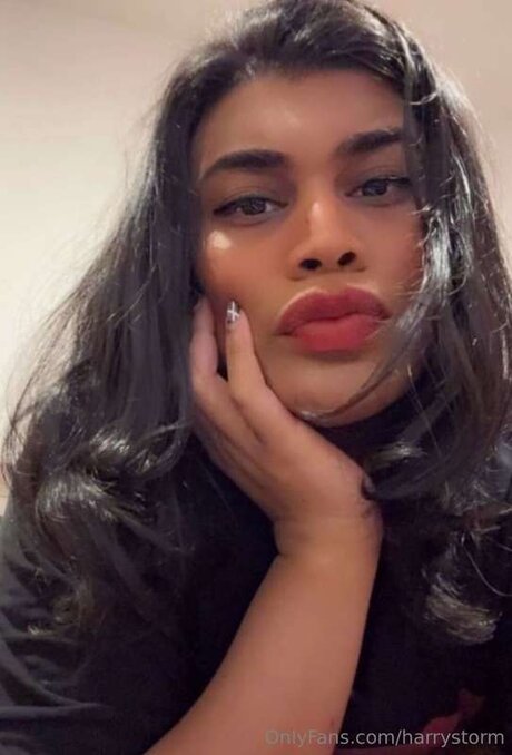 Harrystorm art star du porno images