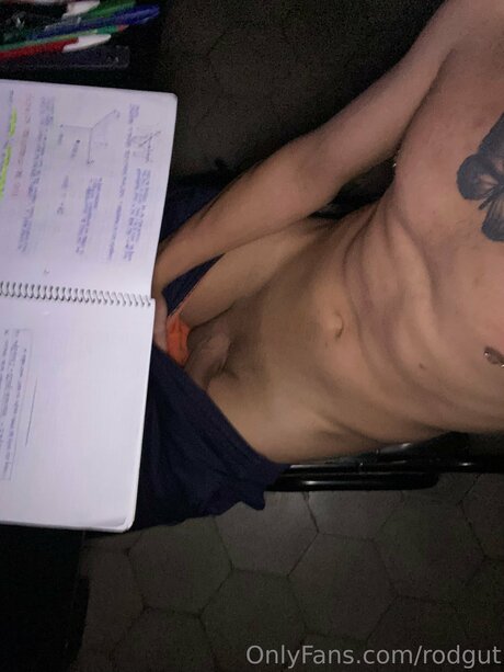 Rodgut sexe de star du porno collection