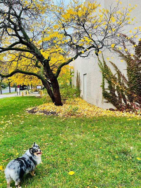 Darli xxx star du porno photos