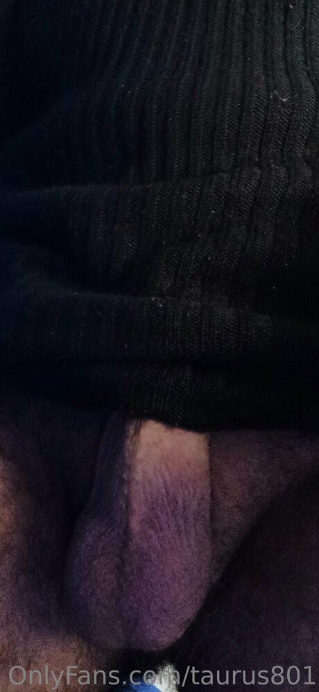 Taurus801 modèle adulte collection