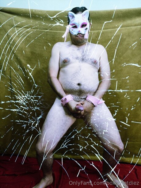 Boxerhotdiez étoile exclusive collection