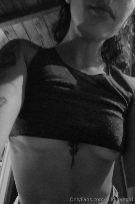 Wildlovegirl étoile collection