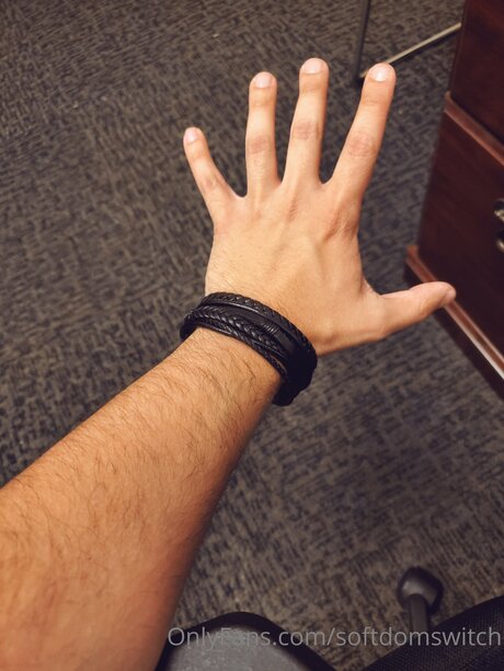 Softdomswitch mannequin photos