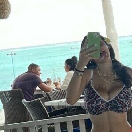 Pelegsaar étoile de l'art collection