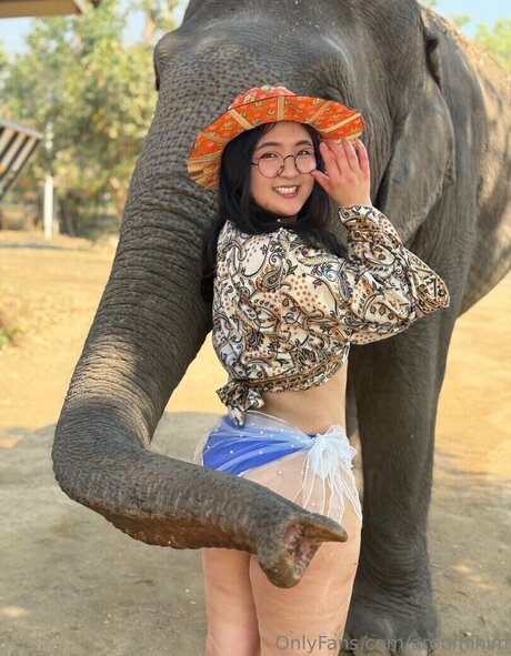 Aroomi Kim étoile de l'art galeries