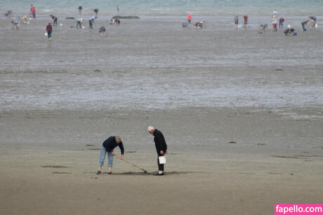 Elsaaaapage modèle joli galeries