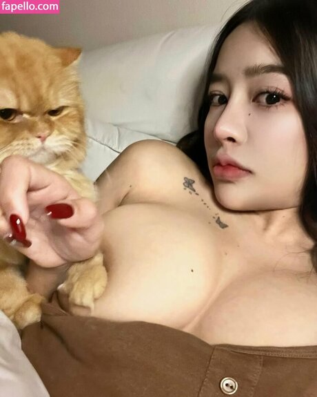 caxeks étoile gratuite img