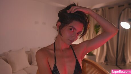 Ellelure actrice érotique collection