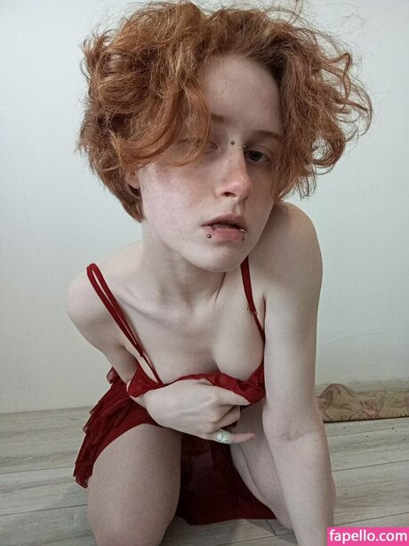 albanocte étoile sympa galerie