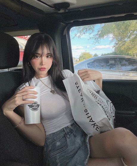 still need modèle parfait collection