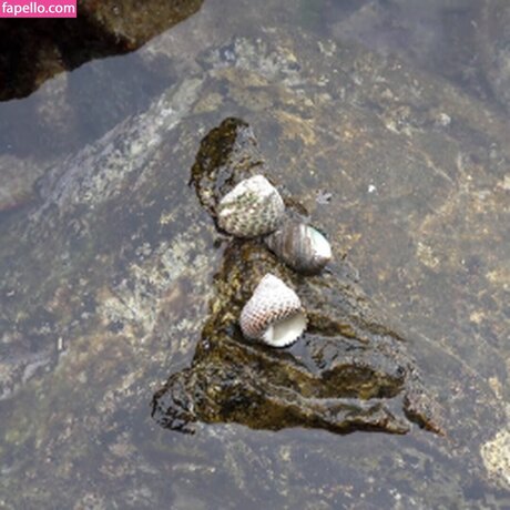 Girls HuntersBeauty actrice exclusive archive