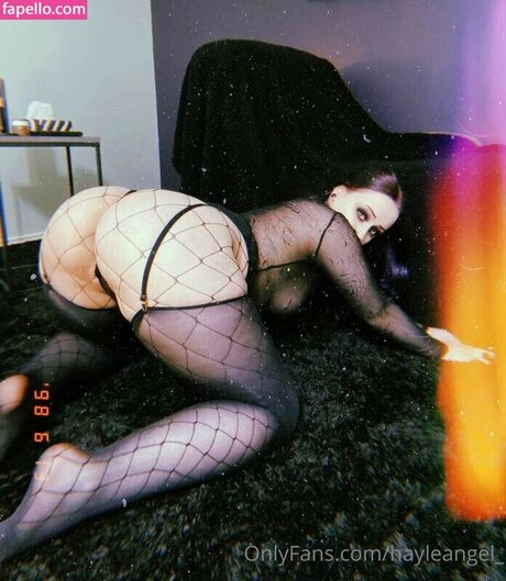 ASSZILLA modèle de haute qualité archive