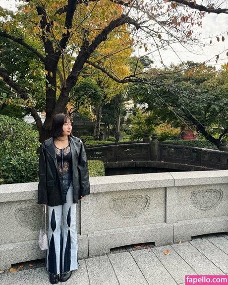 nianx1 jolie étoile img