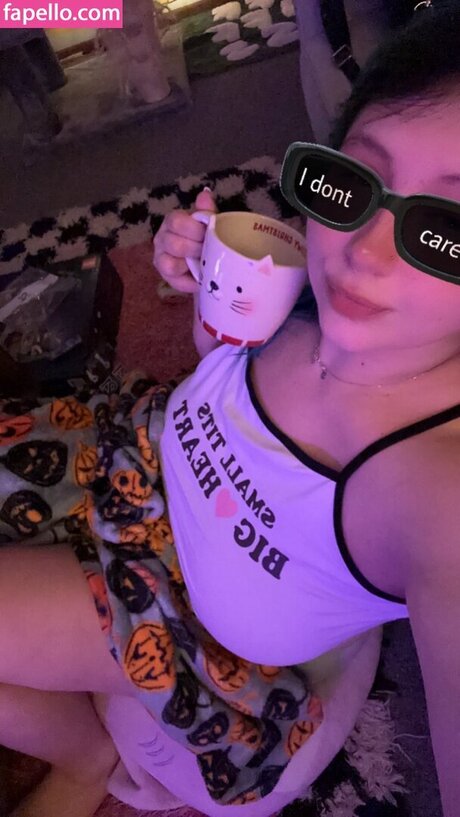 too0ldcat étoile chaude galerie